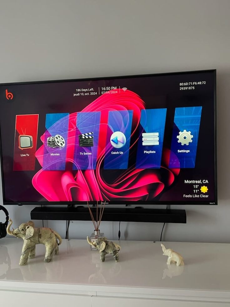 Reseña visual IPTV Fiesta 5